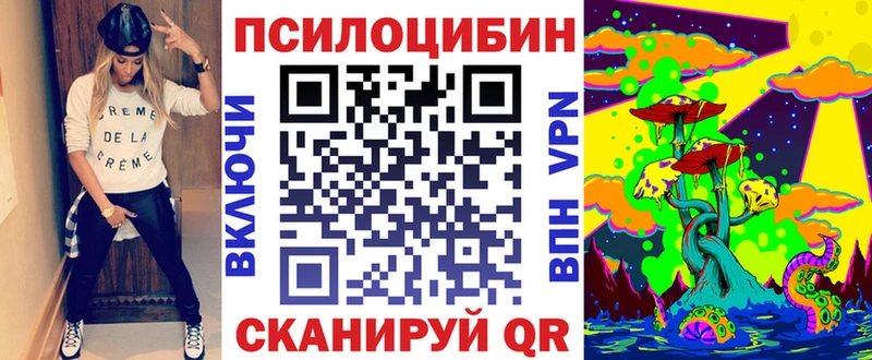 Купить закладки  Ладушкин  Галлюциногенные грибы Psilocybine cubensis 
